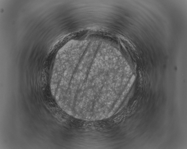 X0000087320776200705181010