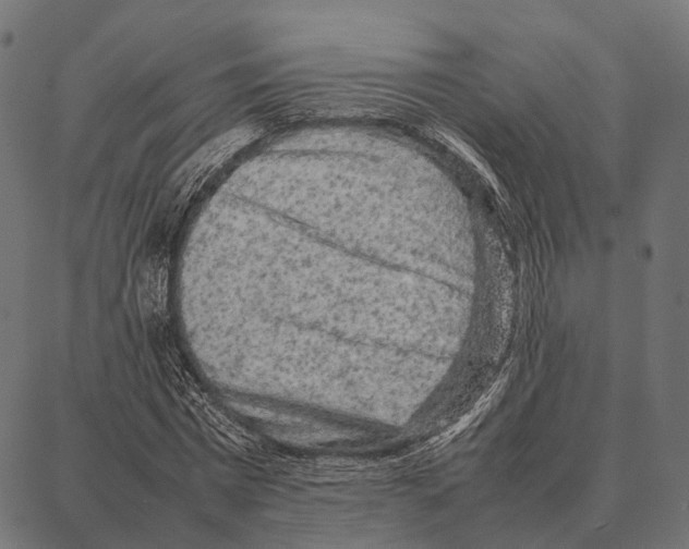 X0000087320777200705181010