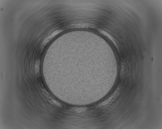 X0000087320778200705181010