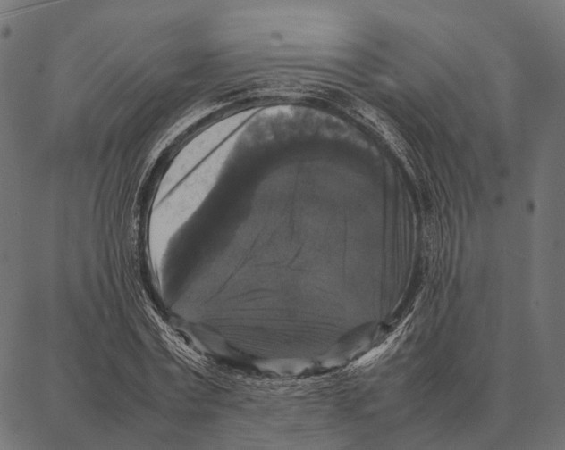 X0000087320779200705181010