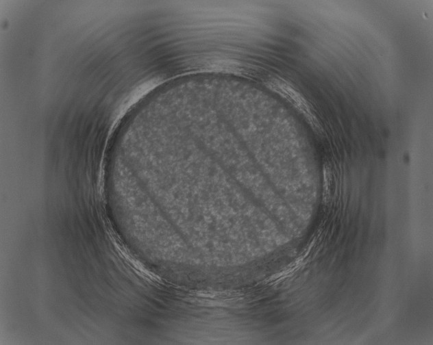 X0000087320780200705181010