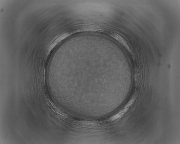 X0000087320781200705181010