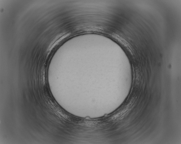 X0000087320782200705181010