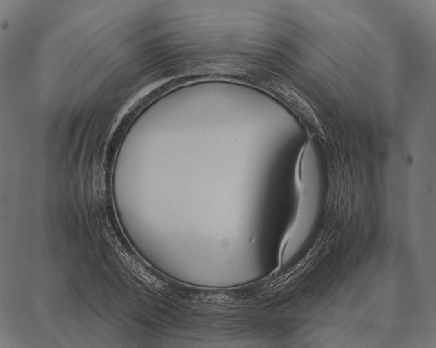 X0000087320784200705181010