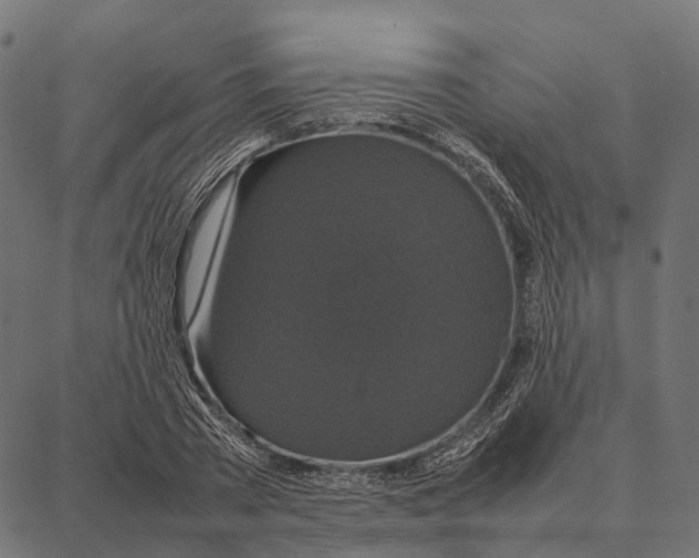 X0000087320785200705181010