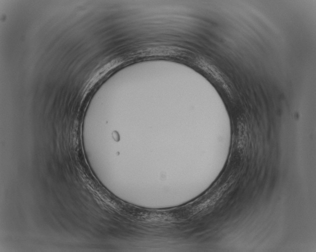 X0000087320786200705181010