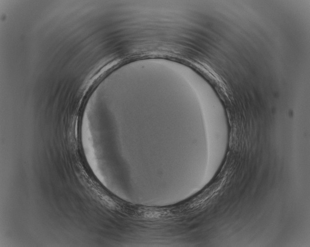 X0000087320790200705181010