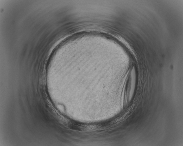 X0000087320791200705181010