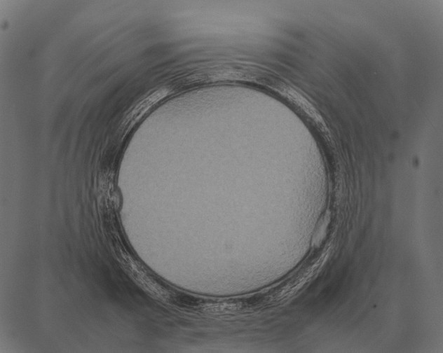 X0000087320793200705181010