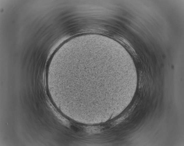 X0000087320796200705181010