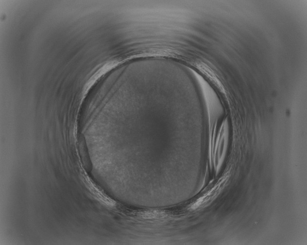 X0000087320797200705181010