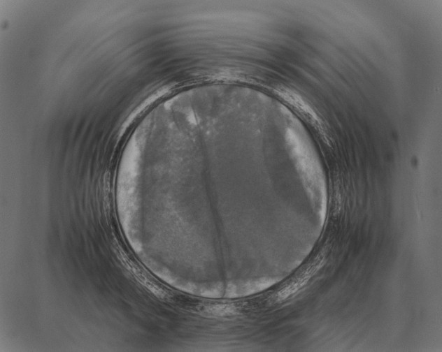 X0000087320798200705181010