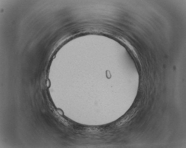 X0000087320799200705181010