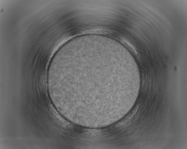 X0000087320800200705181010