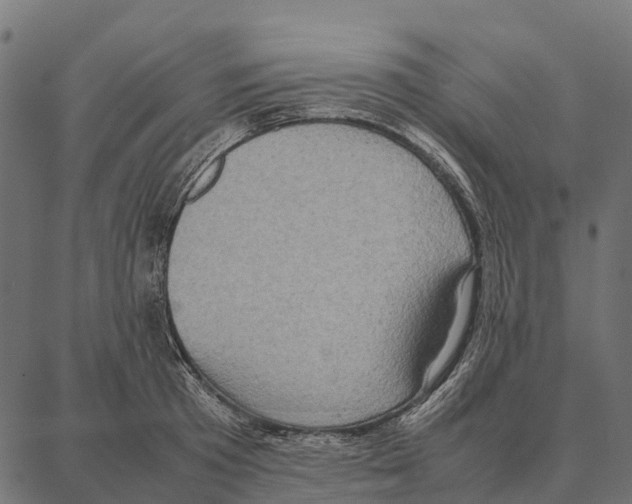 X0000087320801200705181010