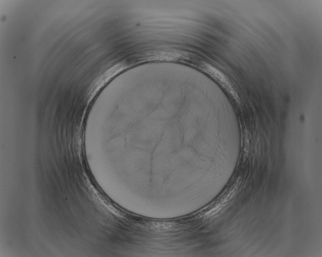 X0000087320802200705181010