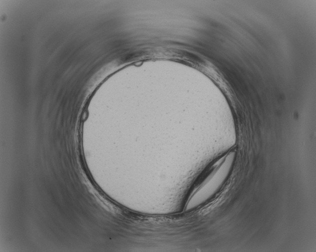 X0000087320803200705181010