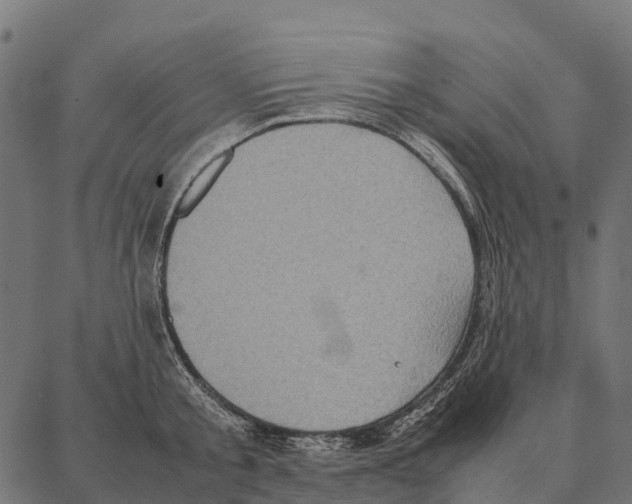 X0000087320805200705181009