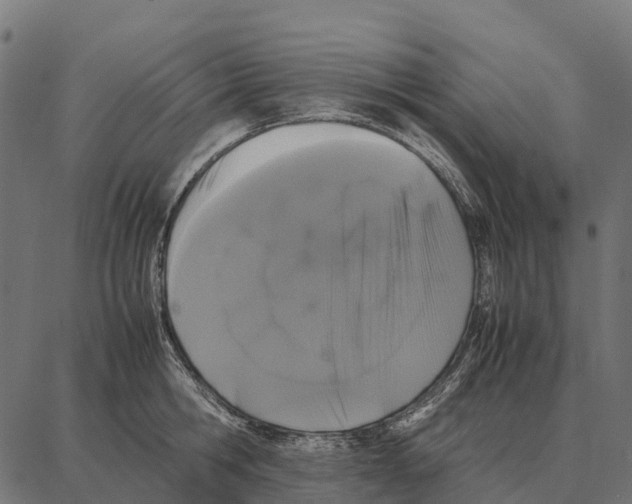 X0000087320806200705181009