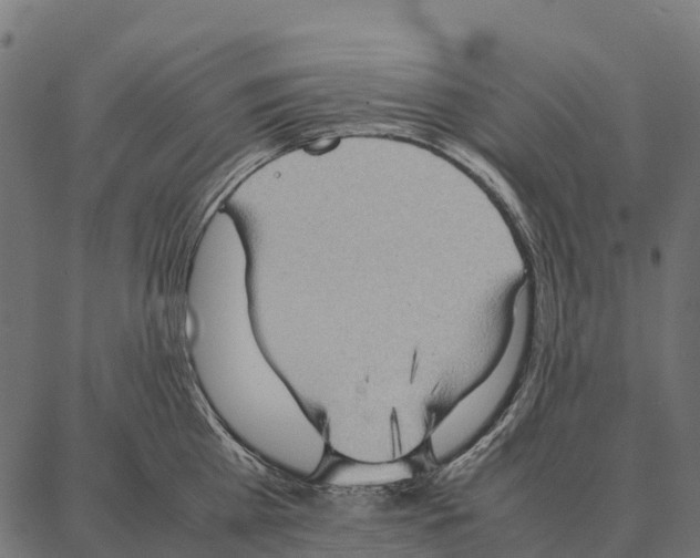 X0000087320809200705181009