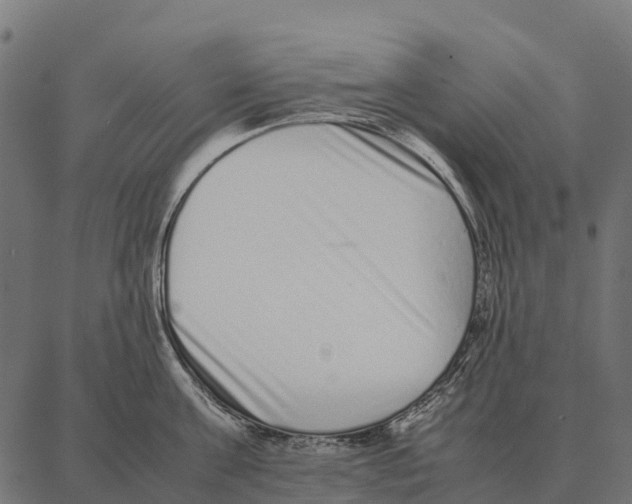 X0000087320811200705181009