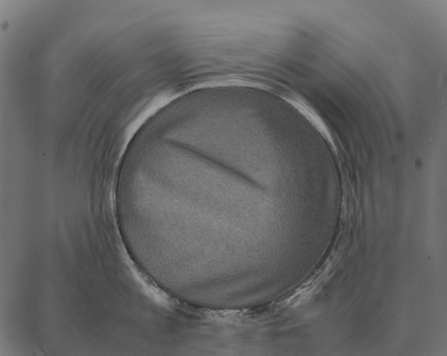 X0000087320813200705181009