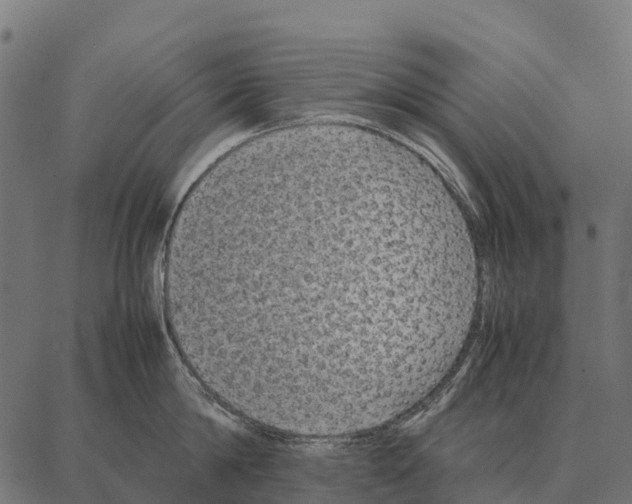 X0000087320814200705181009