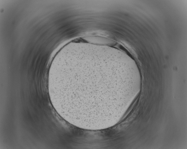 X0000087320816200705181009