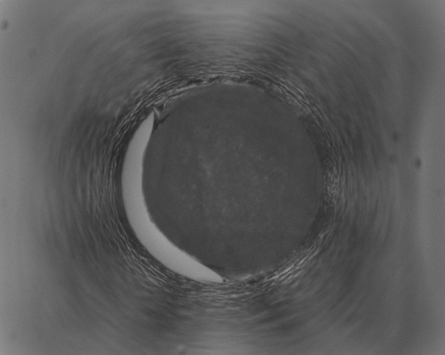 X0000087320818200705181009