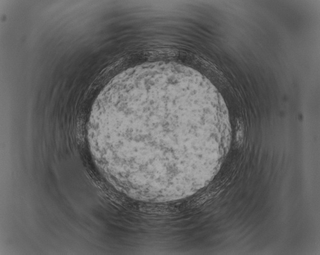 X0000087320819200705181009