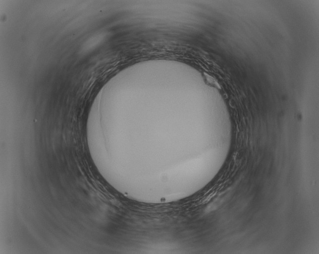 X0000087320820200705181009