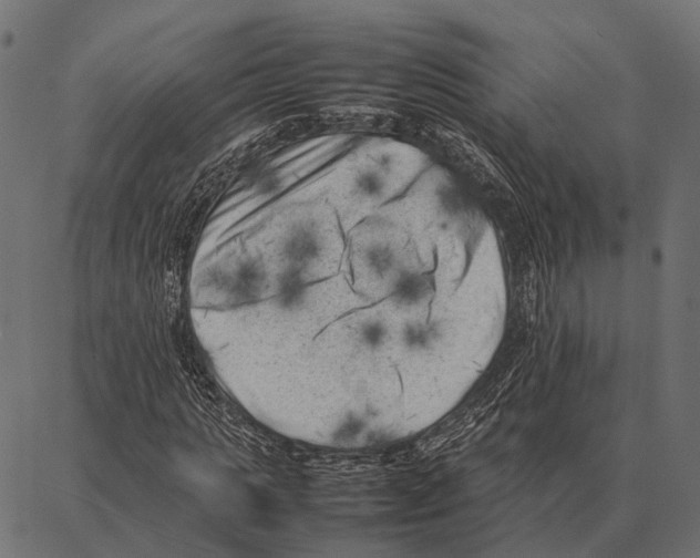 X0000087320821200705181009