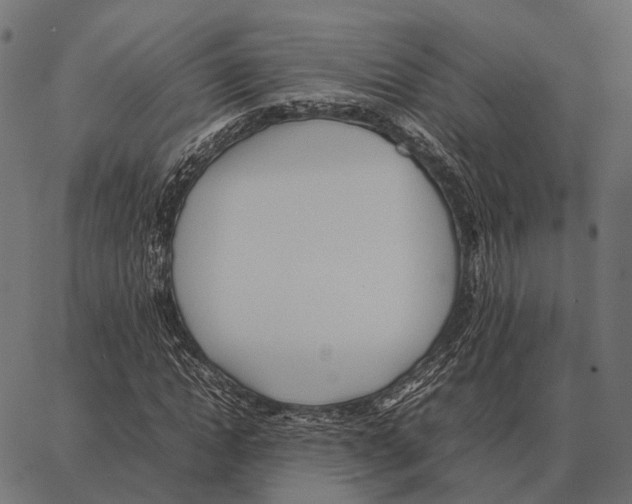 X0000087320822200705181009