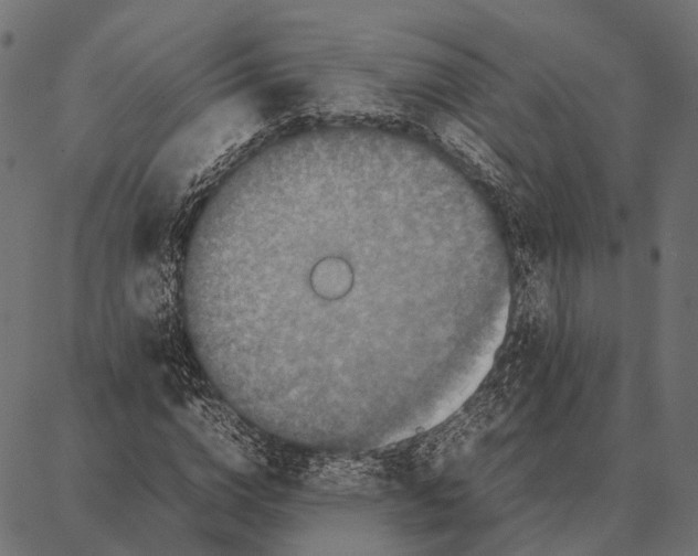 X0000087320824200705181009