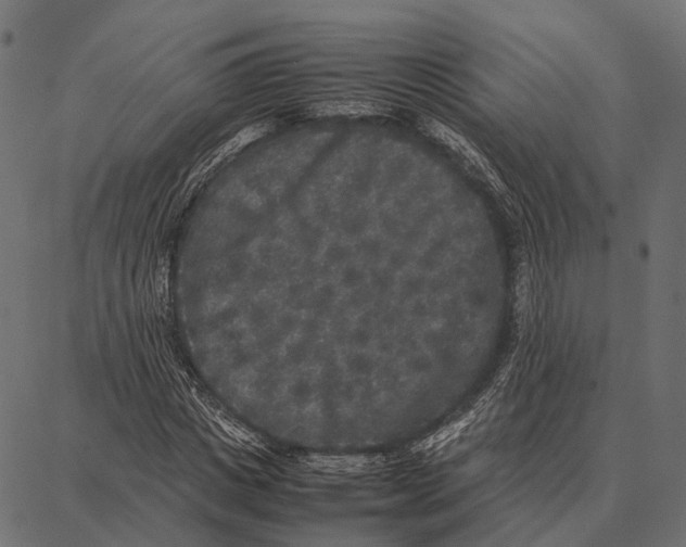 X0000087320825200705181009