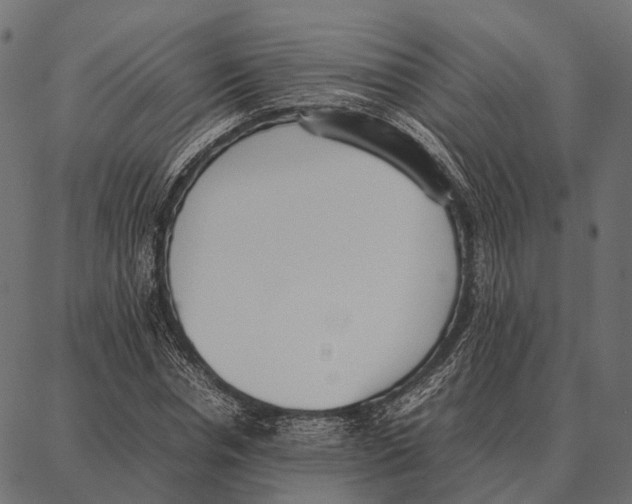 X0000087320826200705181009