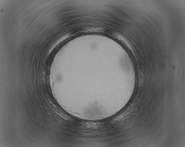 X0000087320827200705181009