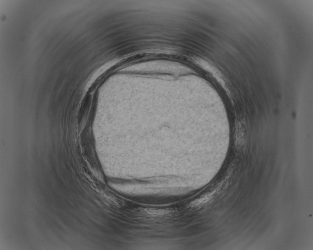 X0000087320829200705181009