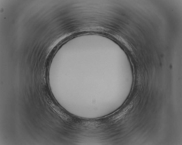 X0000087320830200705181009