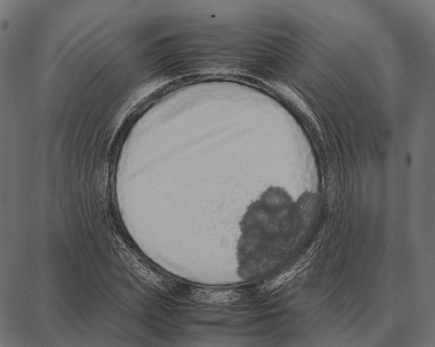 X0000087320831200705181009