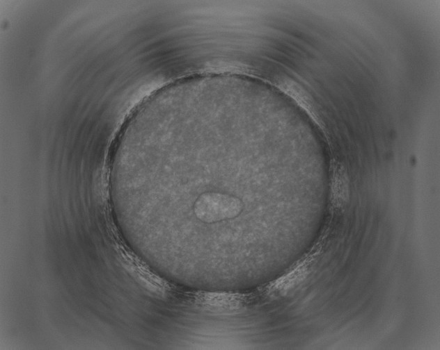 X0000087320832200705181009