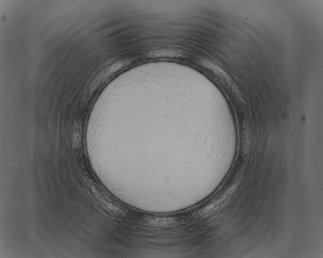 X0000087320833200705181009