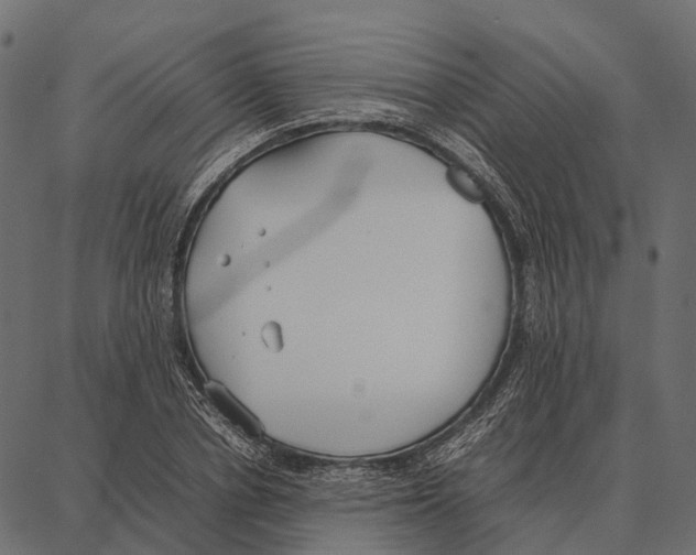 X0000087320834200705181009