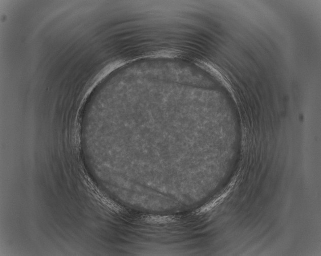 X0000087320835200705181009