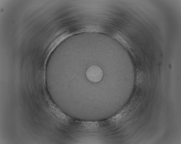 X0000087320836200705181009