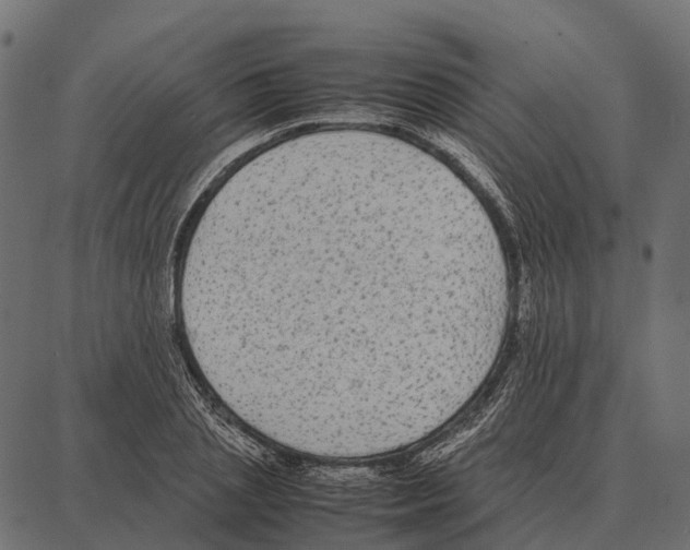 X0000087320837200705181009