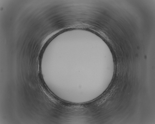 X0000087320838200705181009