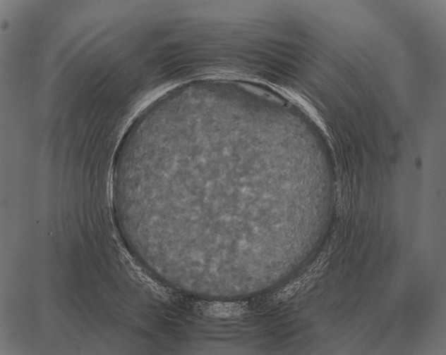 X0000087320839200705181009