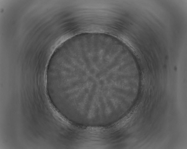 X0000087320840200705181009