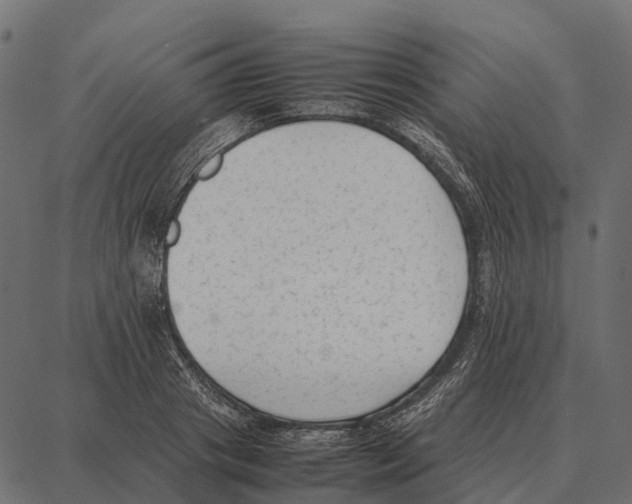 X0000087320841200705181009